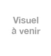 Guide architectural 1850-1935 vignette